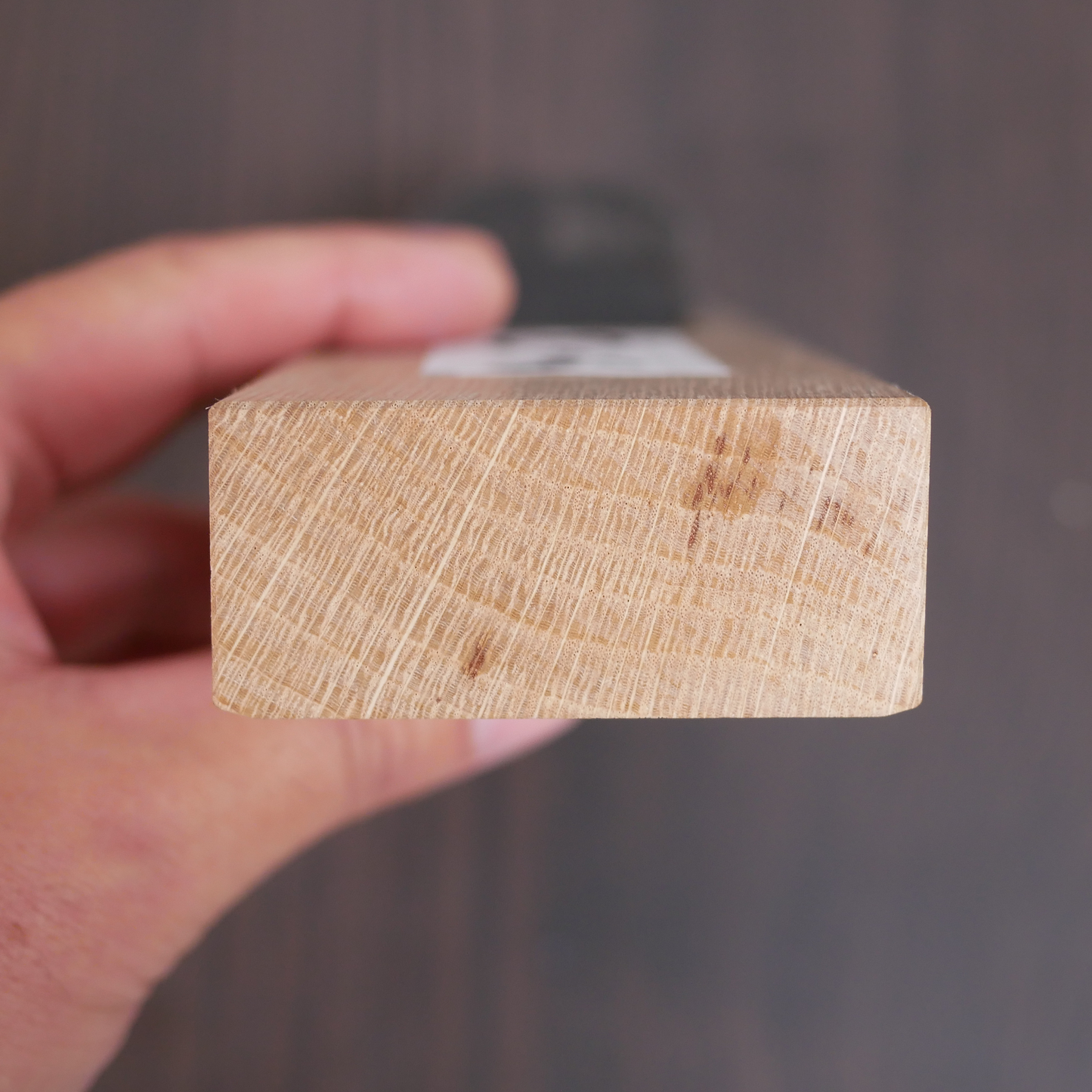 Tanjo-san 48 mm Hand Plane by Tsunesaburo