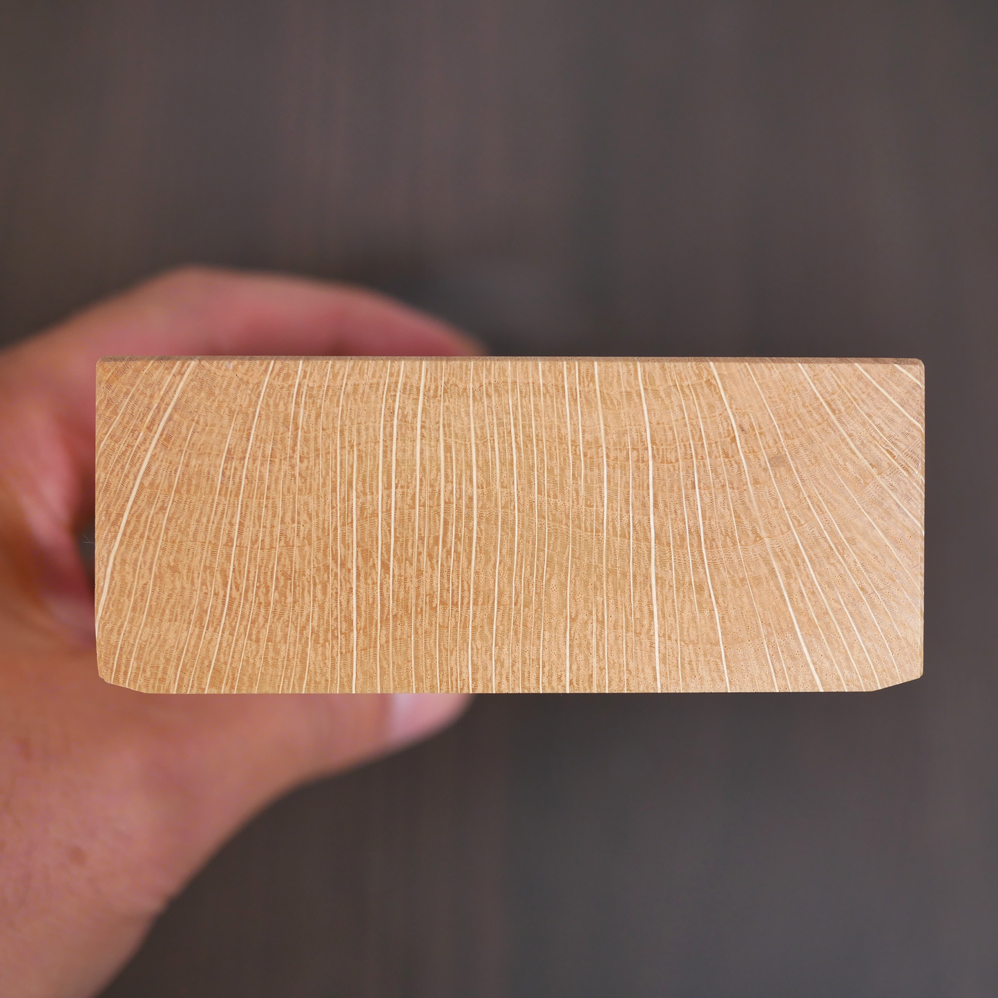 Meimon Tsunesaburo 70 mm (Sunpachi) Hand Plane by Tsunesaburo