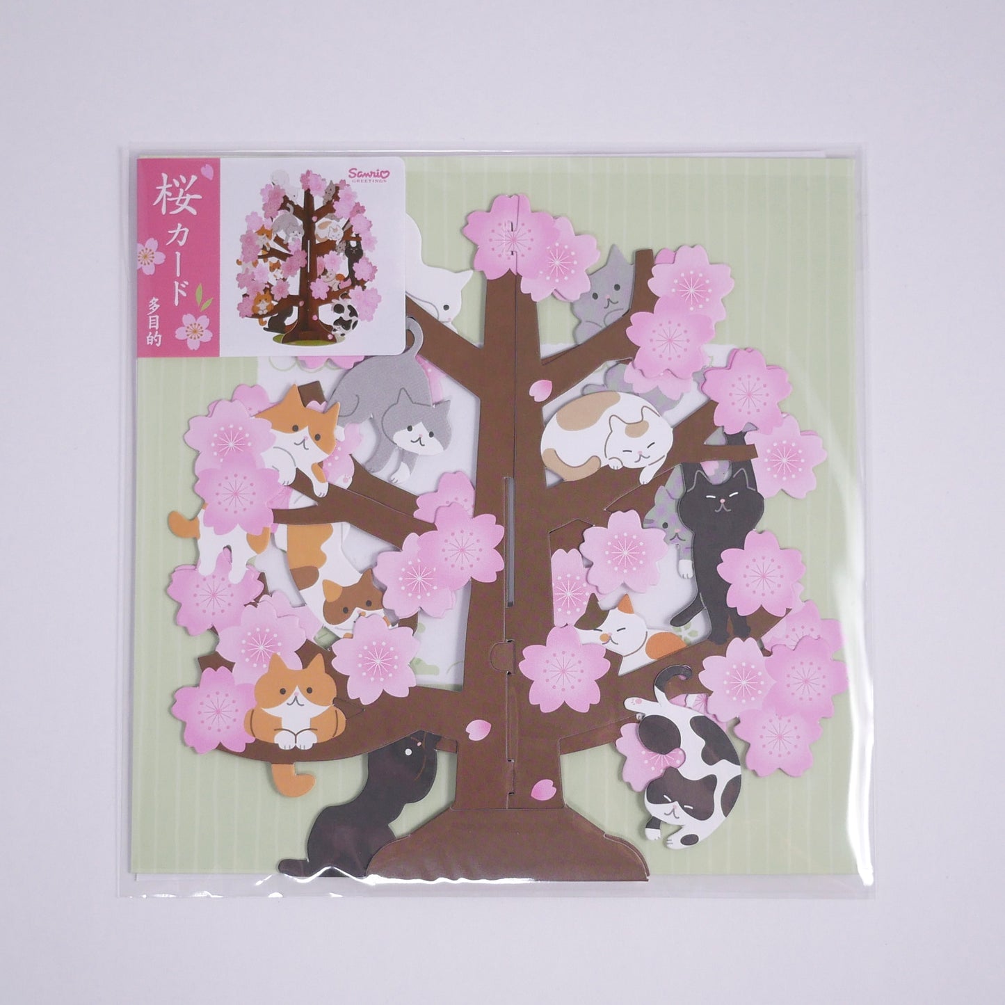 Sanrio Spring Cherry Blossom Tree and Cat Message Card